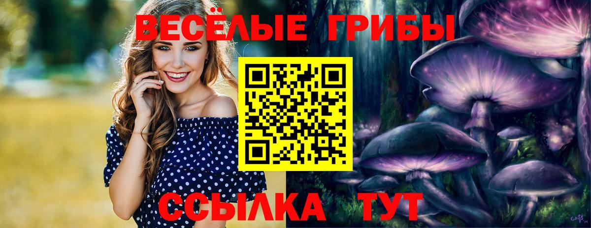 Тихорецк  Галлюциногенные грибы MAGIC MUSHROOMS  купить наркотики цена  Вход с VPN 